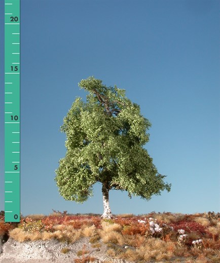 Silhouette 210-22 - Moorbirke/ Moor birch