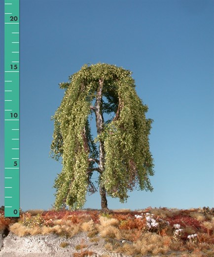 Silhouette 211-02 - Hngebirke/ Weeping birch