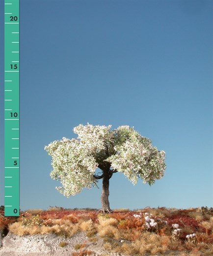 Silhouette 226-01 - Apfelbaum/ Appletree