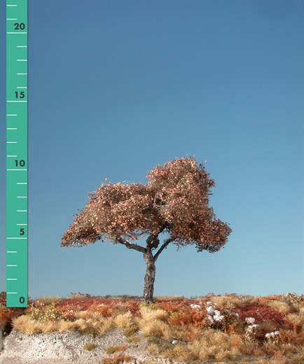 Silhouette 226-14 - Apfelbaum/ Appletree
