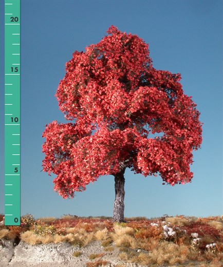 Silhouette 230-15 - Ahorn (rot)/ Maple red