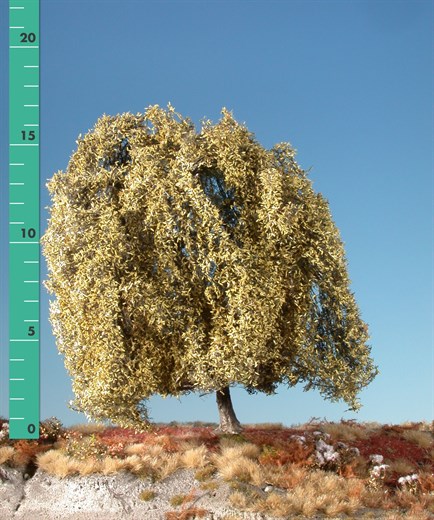 Silhouette 240-24 - Trauerweide/ Weeping willow