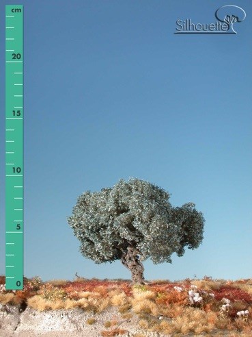 Silhouette 245-02 - Olivenbaum/ Olive-tree