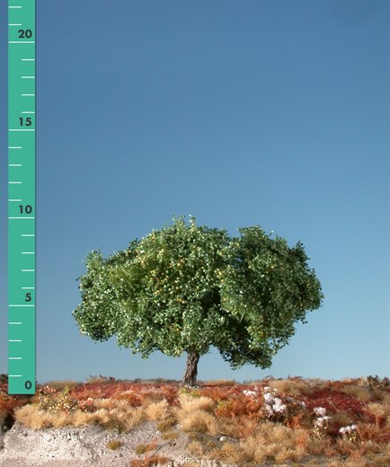 Silhouette 326-22 - Apfelbaum/ Appletree