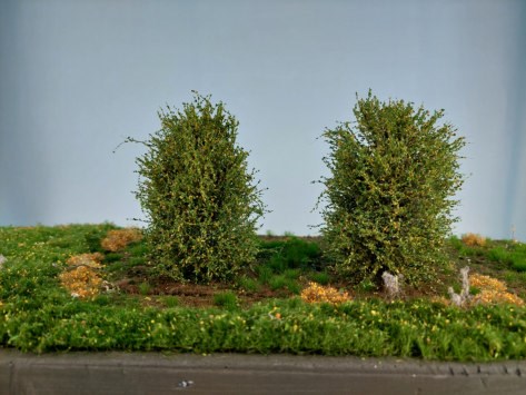 Silhouette 350-43 - Bsche/ bushes