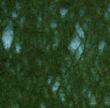 Silhouette 973-32 - Fichte / Green spruce