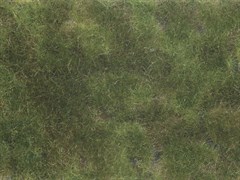 NOCH 07251 - Bodendecker-Foliage olivgrn