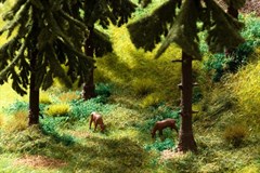 NOCH 60772 - Vegetations-Startset Wald
