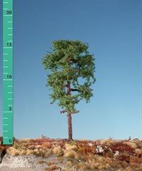 Silhouette 170-02 - Waldkiefer / Forest pine