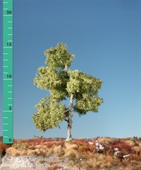 Silhouette 210-03 - Moorbirke/ Moor birch