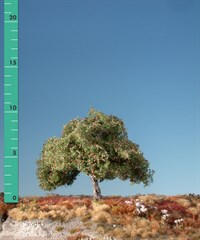 Silhouette 226-03 - Apfelbaum/ Appletree