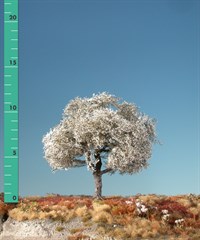 Silhouette 227-01 - Kirschbaum/ Cherry tree