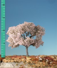 Silhouette 227-05 - Kirschbaum/ Cherry tree