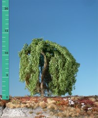 Silhouette 240-02 - Trauerweide/ Weeping willow