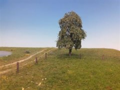 Silhouette 240-62 - Trauerweide/ Weeping willow  (