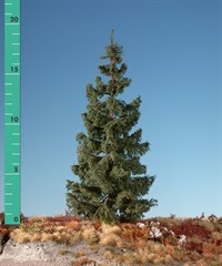 Silhouette 273-02 - Fichte/ Green spruce