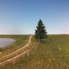 Silhouette 273-62 - Fichte/ Green spruce
