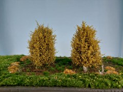 Silhouette 350-44 - Bsche/ bushes
