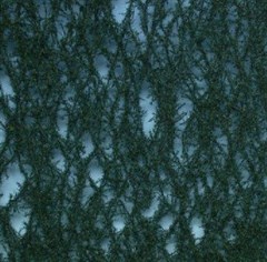 Silhouette 976-22 - Tanne /  Nordic fir